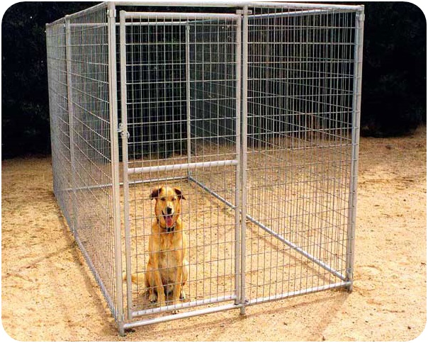 Dog-Cage2 Dog-Cage2