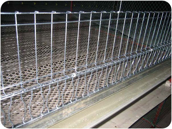 Chicken-Cage Chicken-Cage