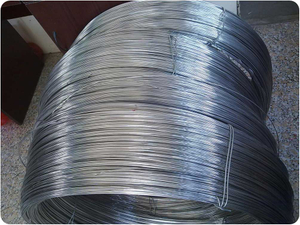 Stainless Steel Wire