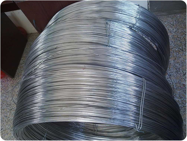 Stainless Steel Wire