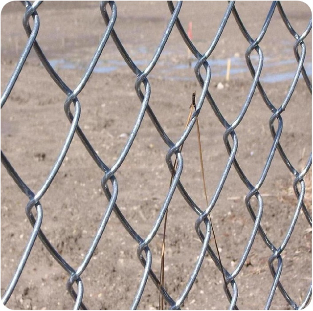 Galvanized Chain Link Fence