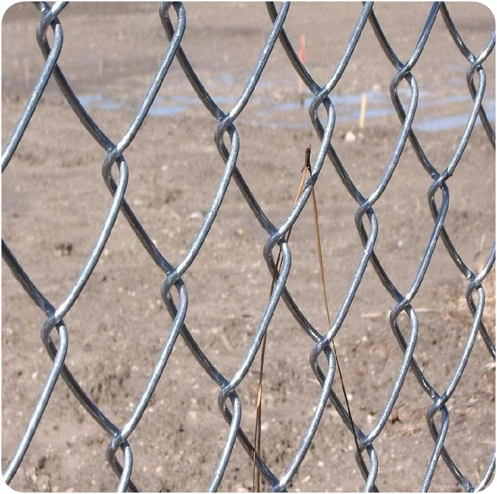 Galvanized Chain Link Fence