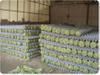 PVC Coated Chain Link Fence