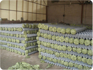 PVC Coated Chain Link Fence