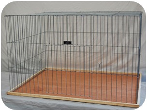 Pigeon-Cage