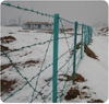 Barbed Wire Fence