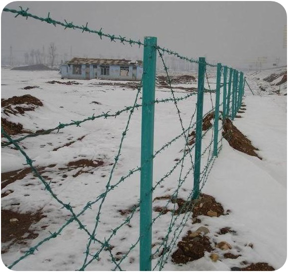 Barbed Wire Fence