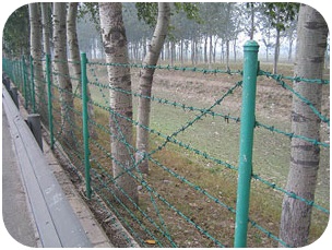 Barbed-Wire-Fence3