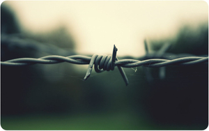 Barbed Wire