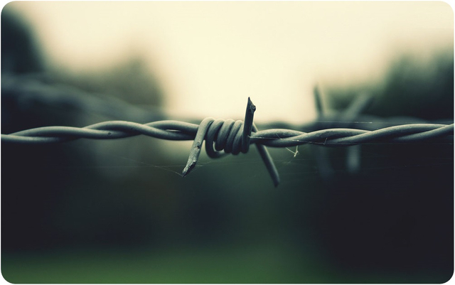 Barbed Wire
