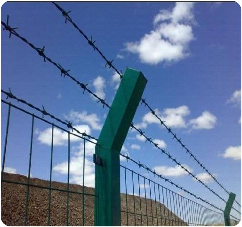 Barbed Wire Fence