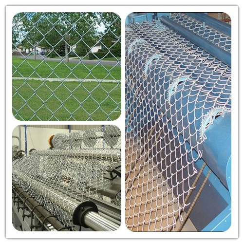 Galvanized-Chain-Link-Fence3